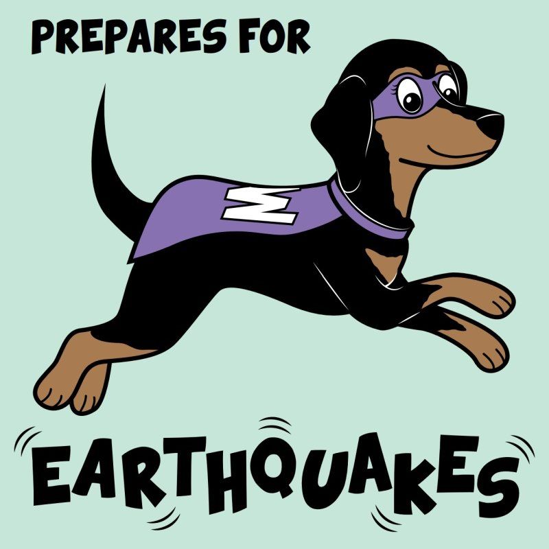 Earthquake Preparedness Activity Book
