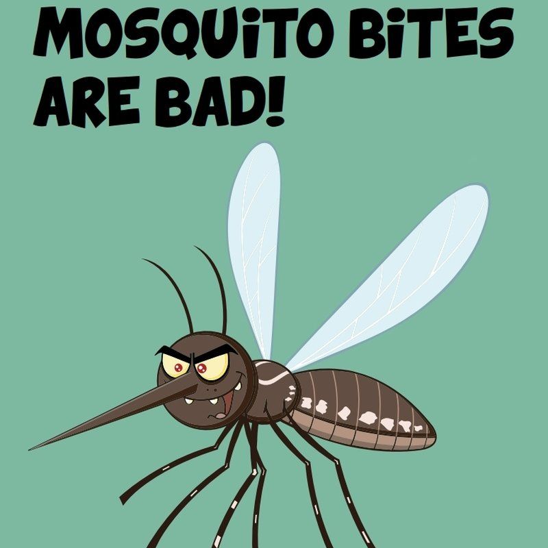 Mosquito Bites Safety Awareness Activity Book