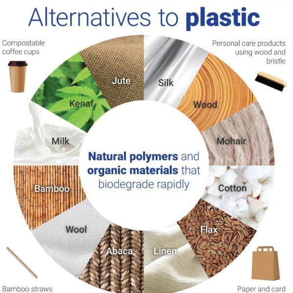 Alternatives infographic