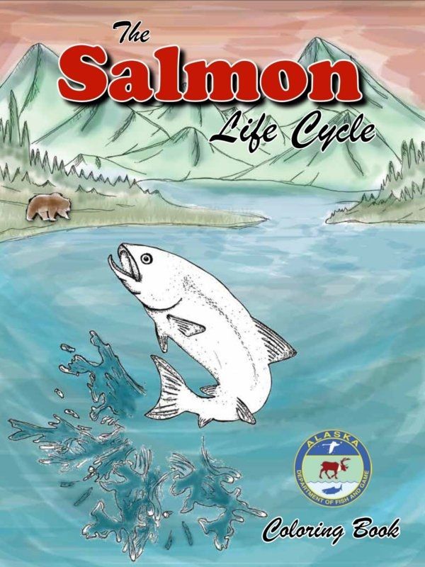 Salmon Lifecycle Coloring Book
