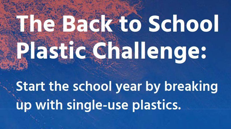 Plastic Challenge