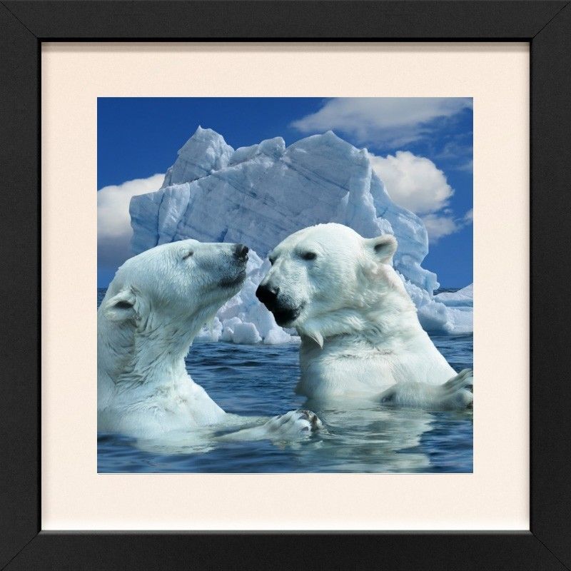 Arctic and Antarctic