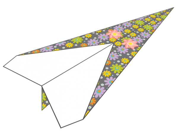 nasmpaperplaneb1p7i9fullB1A3BD02-1BE7-1B05-AAC2-656E33E94A91.png