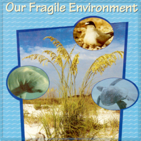 Fragile Environment Activity Book