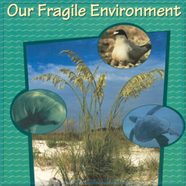 Fragile Environment Coloring Activity