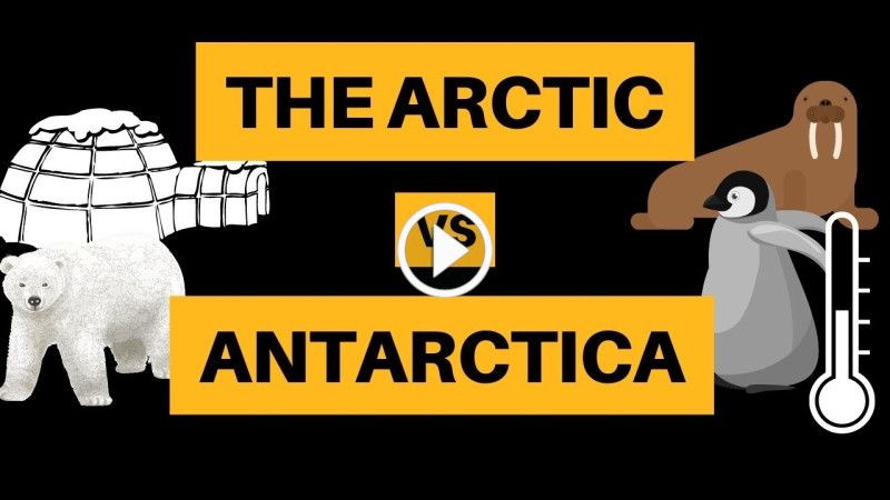 Arctic vs Antarctica - 9 Similarities + Differences