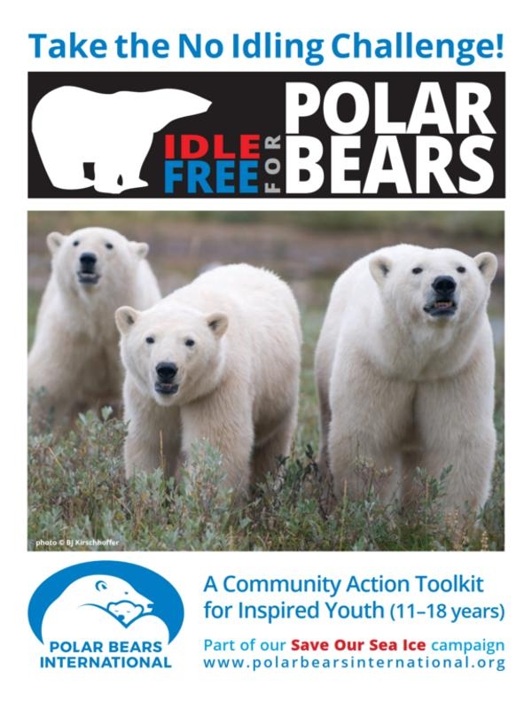 Challenge for Polar Bears Toolkit