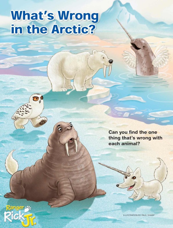 What’s Wrong in the Arctic Game