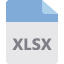 xlsx9